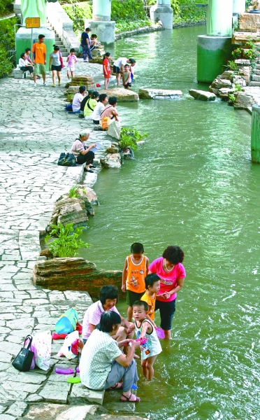 綠色是理念，更是行動