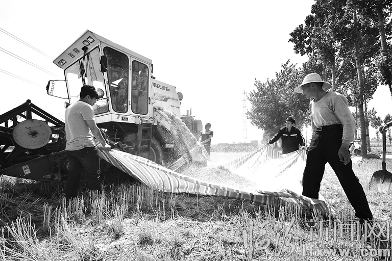 視覺新聞:臨汾那些事