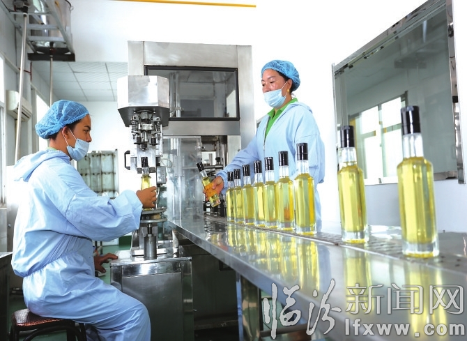 蒲縣“守約王”的二三事