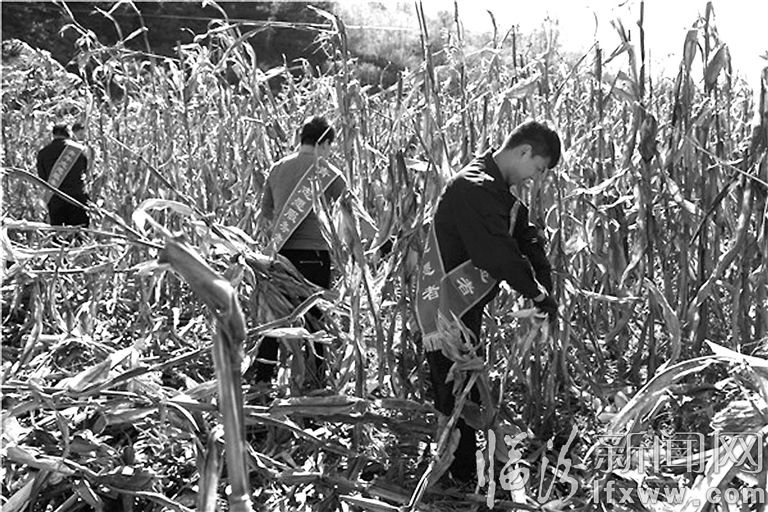 視覺新聞:臨汾那些事