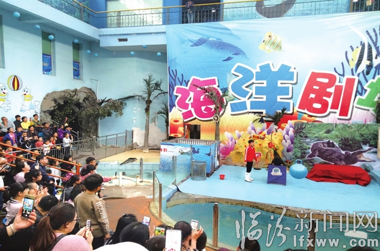 視覺新聞:臨汾那些事