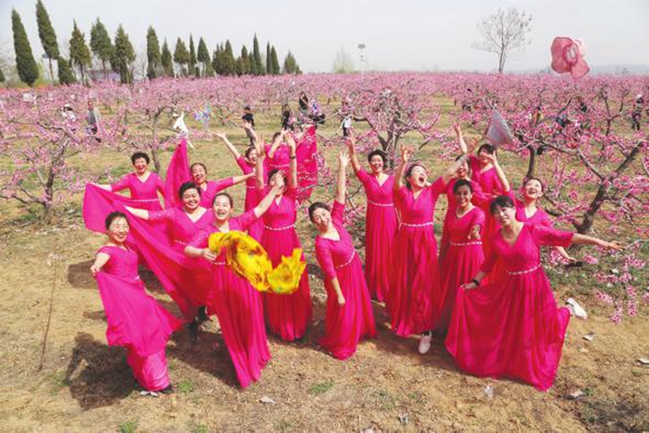 堯都區(qū)賀家莊鄉(xiāng):十里桃花惹人醉
