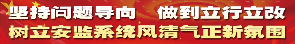 堅持問題導向 做到立行立改 樹立安監系統風清氣正新氛圍