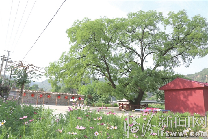 扶貧故事會 今天講述大寧羅曲村的那些幸福事