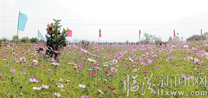 吉縣東城鄉(xiāng)創(chuàng)建國家衛(wèi)生鄉(xiāng)鎮(zhèn)工作紀實