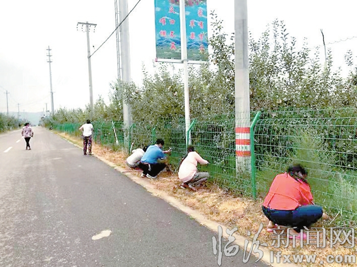 吉縣東城鄉(xiāng)創(chuàng)建國家衛(wèi)生鄉(xiāng)鎮(zhèn)工作紀實