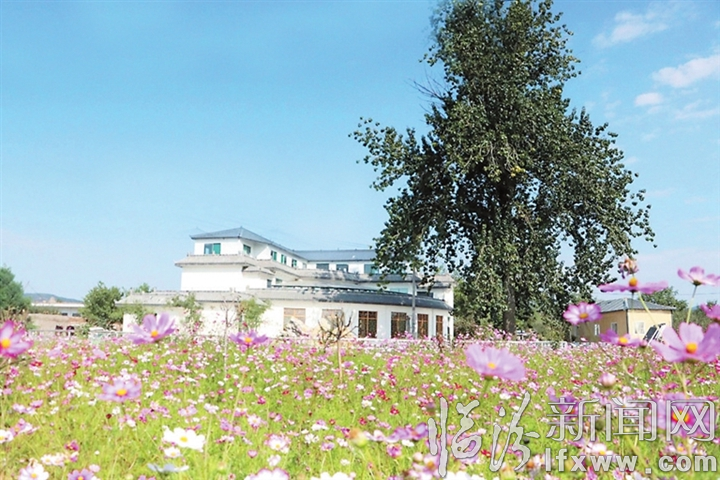 吉縣東城鄉(xiāng)創(chuàng)建國家衛(wèi)生鄉(xiāng)鎮(zhèn)工作紀實