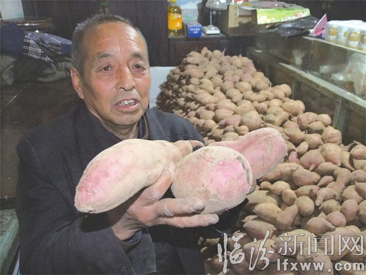 汾西南溝底村的“紅薯經(jīng)”