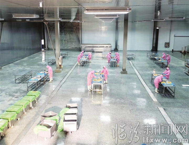 2019 汾西十大新聞事件