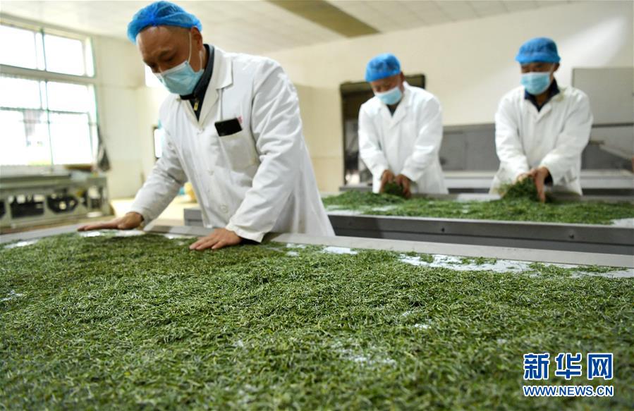 （新華全媒頭條·圖文互動(dòng)）（22）從人民中汲取磅礴力量——習(xí)近平總書記同出席2020年全國(guó)兩會(huì)人大代表、政協(xié)委員共商國(guó)是紀(jì)實(shí)