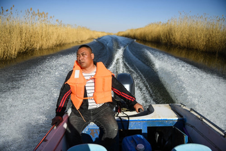 半月談丨烏梁素海生態隱患何解