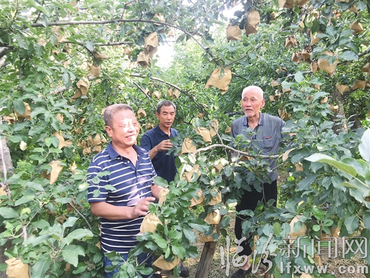 襄汾申村:一家合作社的致富底氣