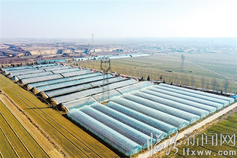 梁坡村大棚.jpg