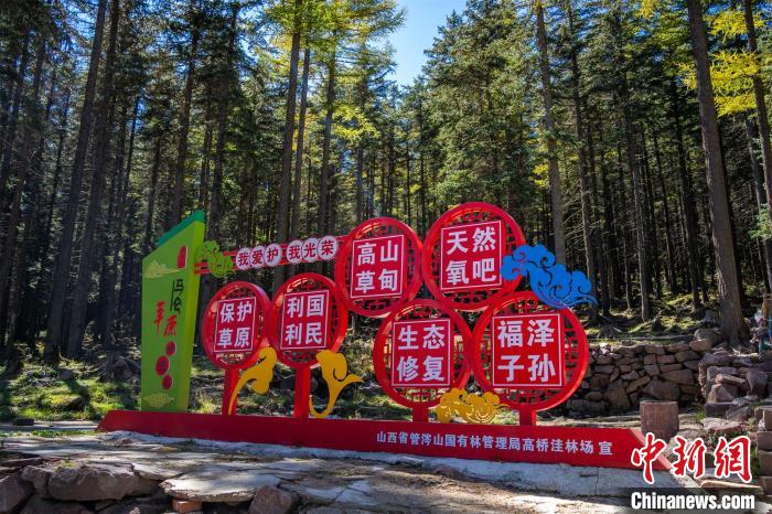 馬侖草原。　馬夢迪 攝