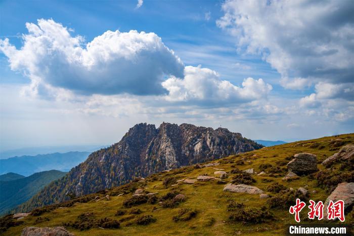 “空中草原”馬侖擁有3000余畝草甸。　馬夢迪 攝