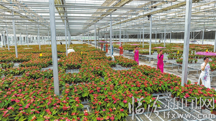 斗色爭妍 李寶明 攝.jpg