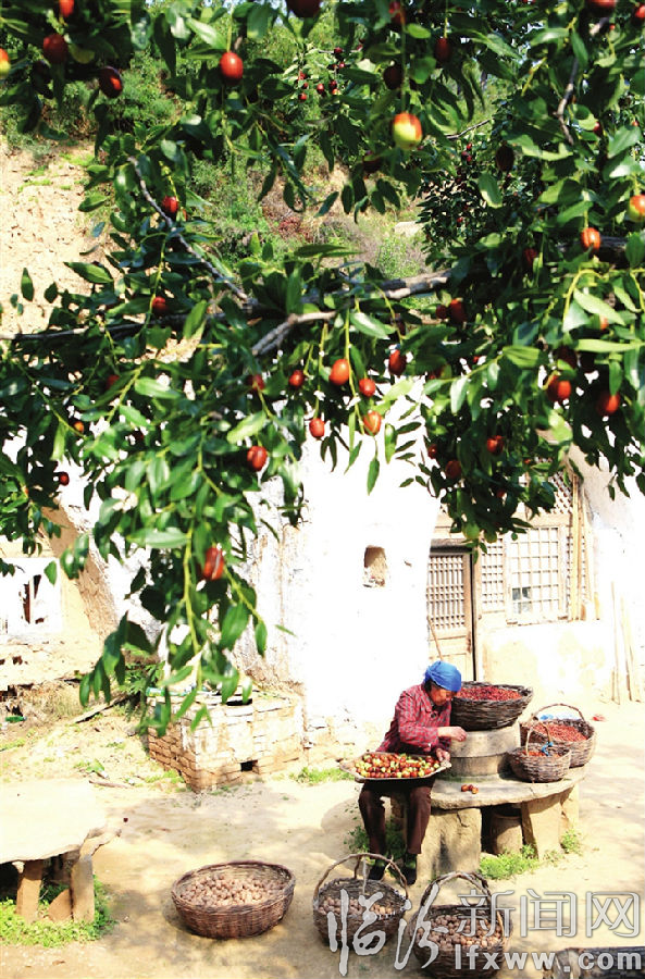 原汁原味原生態(tài) 永和特產(chǎn)人人愛