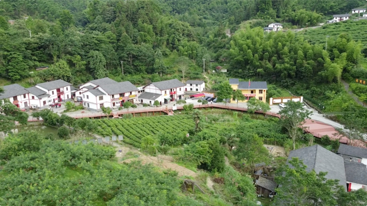 神山村全貌.jpg 圖片