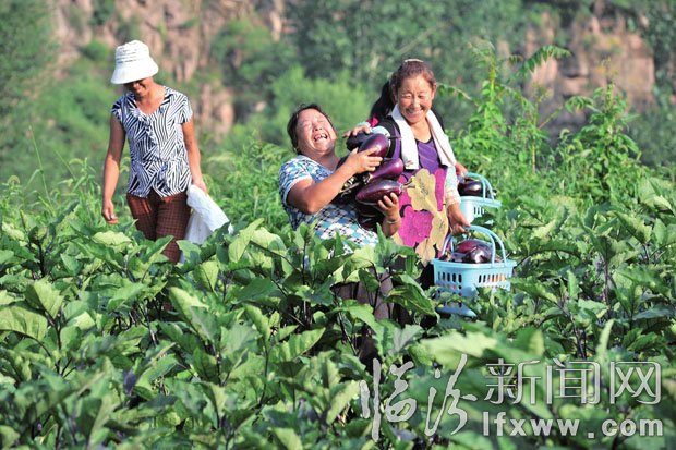 收入增加了，農民臉上露出了笑容。 