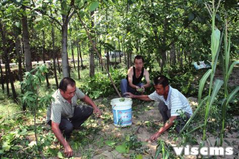 霍州龍泉村:生態文明宜居新家園