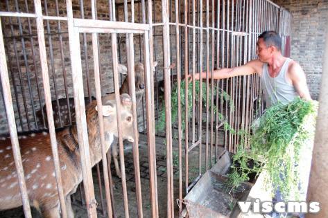 霍州龍泉村:生態文明宜居新家園