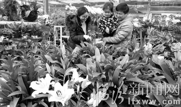 2016新年愿景大集錦