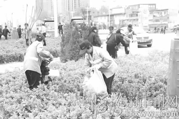 臨汾市園林局積極行動(dòng) 臉譜橋以東道路煥然一新