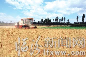 臨汾市集結(jié)7萬(wàn)臺(tái)“鐵牛”龍口奪糧鏖戰(zhàn)“三夏”