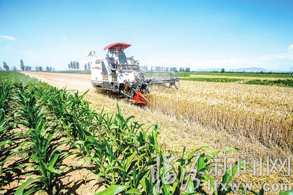 臨汾市集結(jié)7萬(wàn)臺(tái)“鐵牛”龍口奪糧鏖戰(zhàn)“三夏”