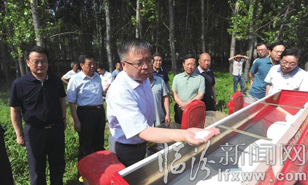 岳普煜:推動“三夏”工作確保豐產豐收