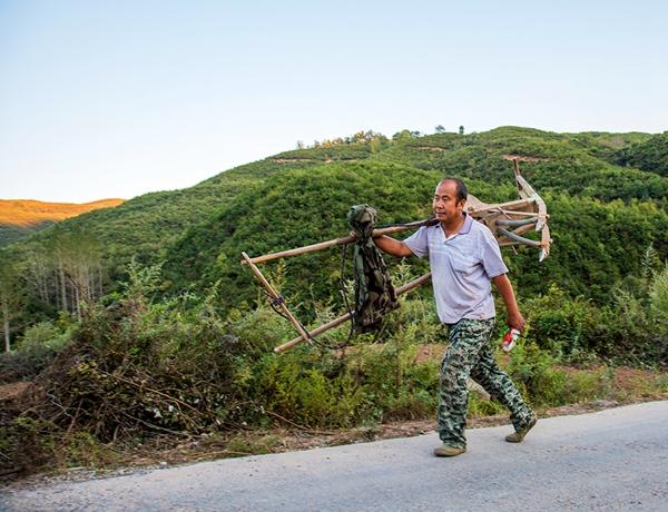 傳統播種（6張）