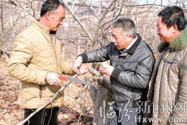 臨汾杜凱群:坪城村的“及時雨”