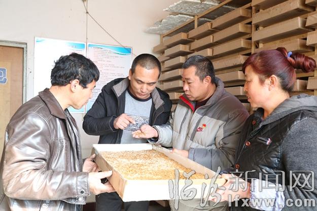 汾西王小龍:實干就能過上好日子