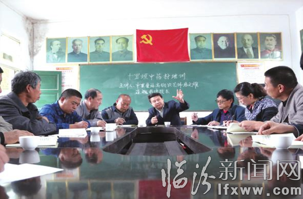 浮山第一書記姬英:惠民路上 腳步不會停歇