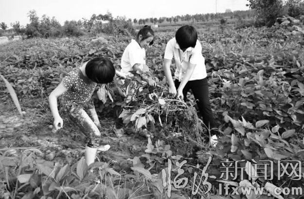 人工除草樂在其中