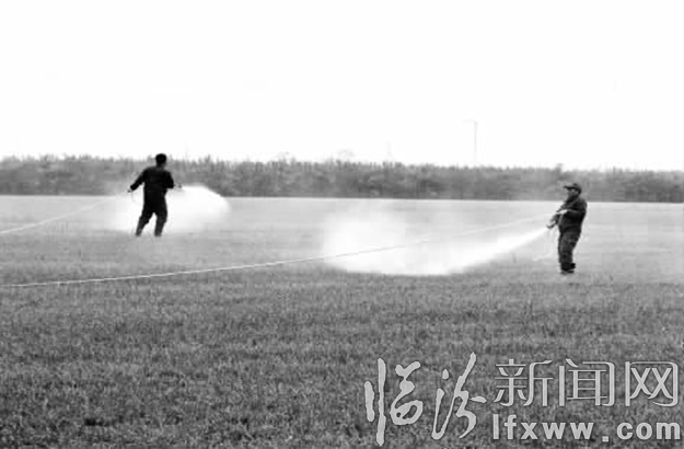 播種前的酵素噴灑