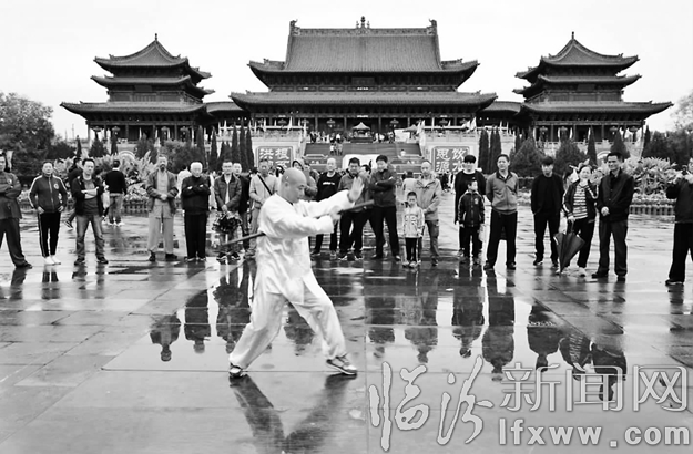 十多位武術愛好者平陽論拳