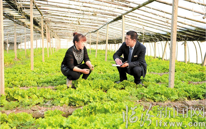 堯都農商銀行深入貫徹鄉村振興戰略 全力打造“五大鄉村”